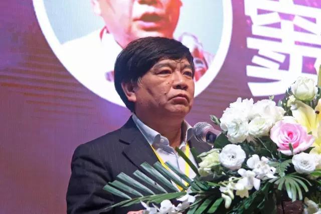 中國炤明學(xue)會(hui)祕書長竇林平.jpg